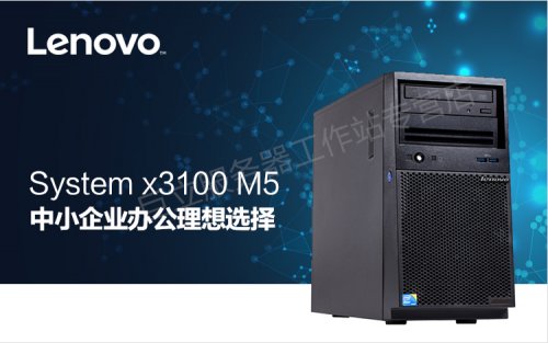 IBM x3100 M5ʽ 