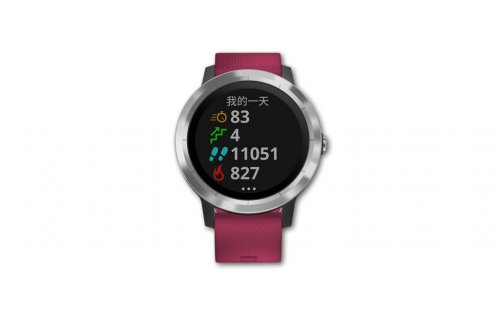 Garmin vivoactive 3t¿Ž 