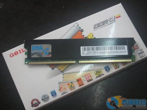 Ƽ׽2GB DDR2-1000438Ԫ 