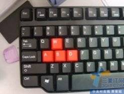 衰08ſᵥ̡ճ 