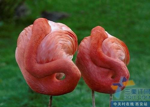ʿ600X ¼רġ硱 